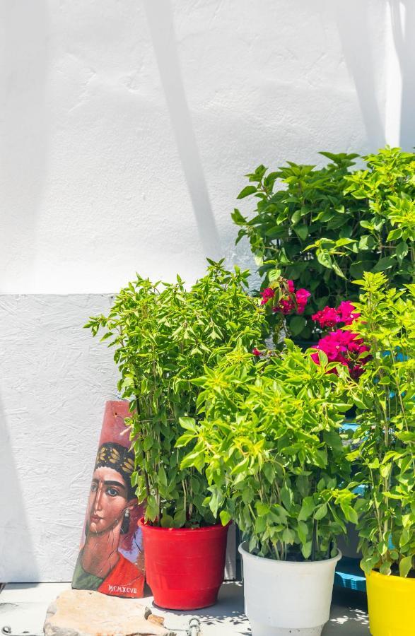 Plakes Sea View Apartment Plaka (Milos) Bagian luar foto